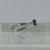 Diamond .15ct Square Illusion Bypass Ring 18ct 18k White Gold  - Size I