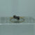 Diamond .34ct Toi Et Moi Bypass Ring 18ct 18k Yellow Gold  - Size N