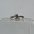 Diamond .11ct Twist Accent Ring 9ct 9k White Gold - Size P